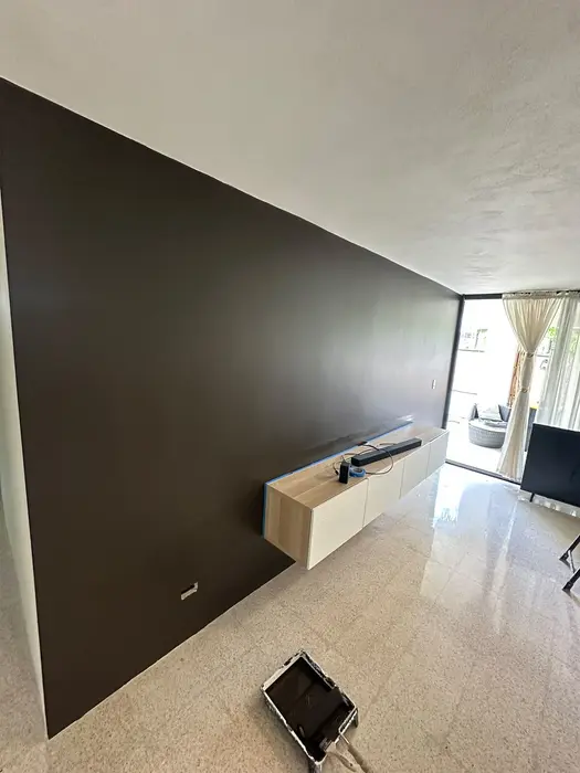 TV feature wall with decorative panels — In progress